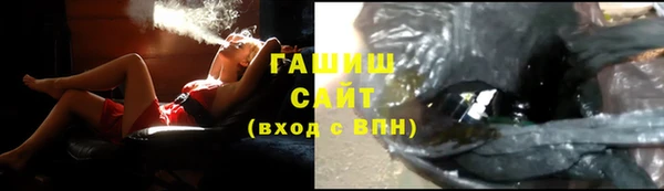 гашик Мегион