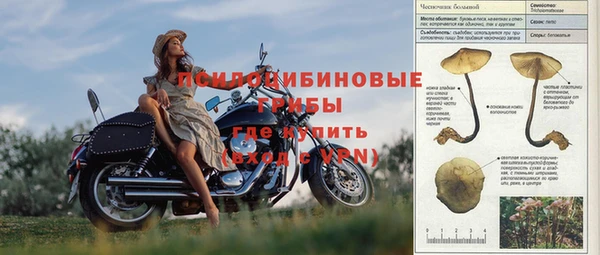 спиды Медвежьегорск