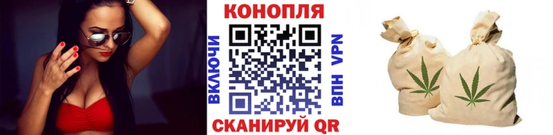 Конопля сатива  omg tor  Мурино  где продают наркотики 